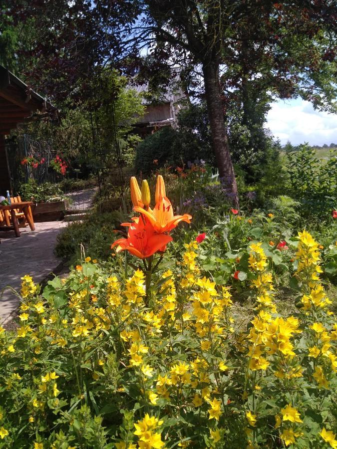 Chalet Le Paradou Adults Only Lessive ภายนอก รูปภาพ