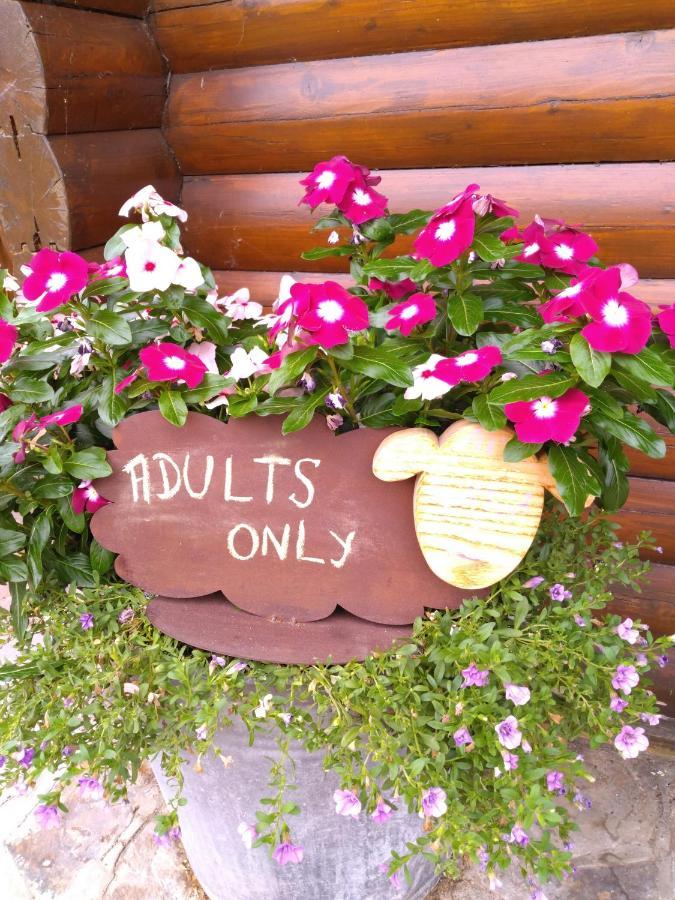 Chalet Le Paradou Adults Only Lessive ภายนอก รูปภาพ