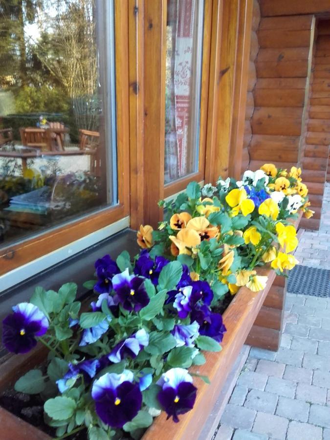 Chalet Le Paradou Adults Only Lessive ภายนอก รูปภาพ